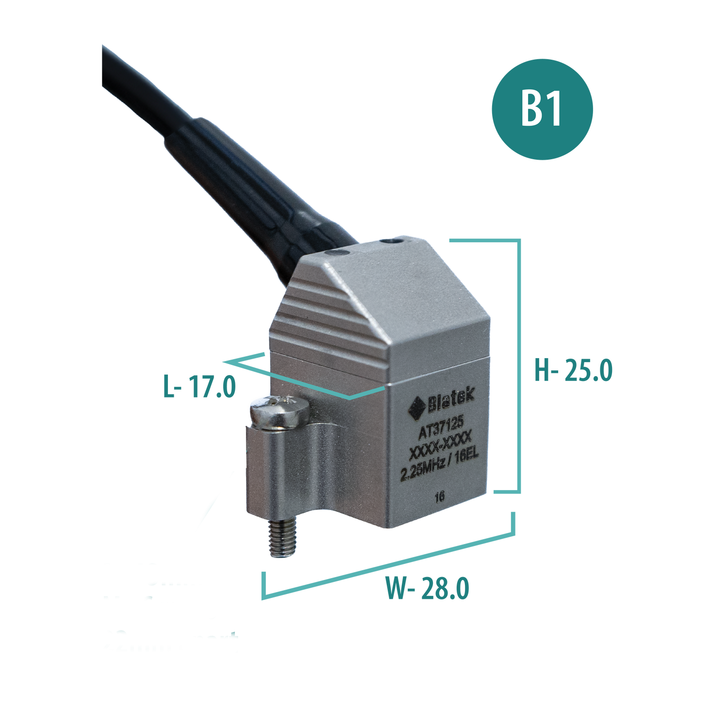B1 PAUT Probes