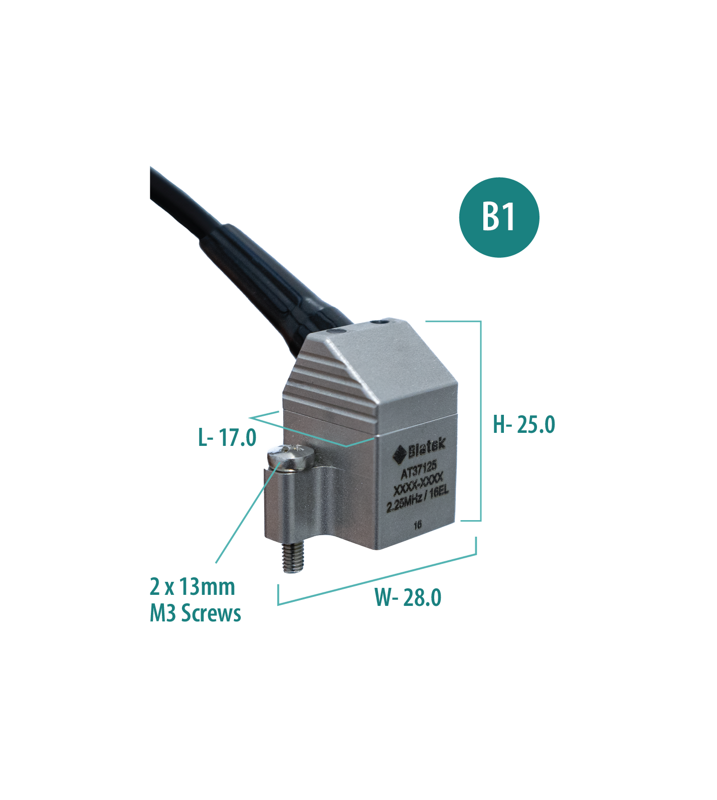 B1 PAUT Probe - 5MHz